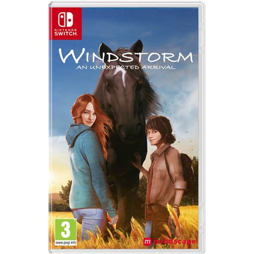 Windstorm: An Unexpected Arrival Nintendo Switch