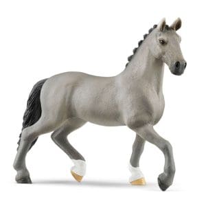 Cheval de Selle Francais Stallion
