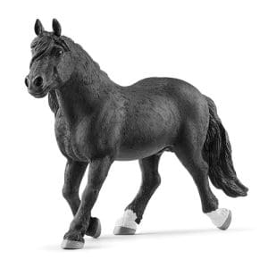 Noriker Stallion