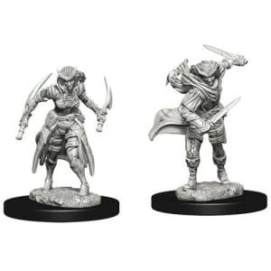 *A Grade* Dungeons & Dragons: Nolzur's Marvelous Unpainted Miniatures: Tiefling Female Rogue (Wave 7)