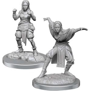Half-Elf Monk Female: Pathfinder Deep Cuts Unpainted Miniatures (W21)