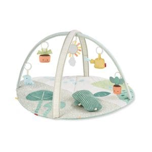 Garden Oasis Activity Gym