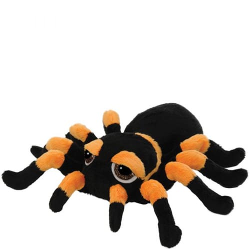 Large Spindra Spider