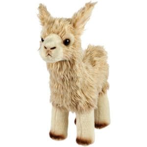 Llama
