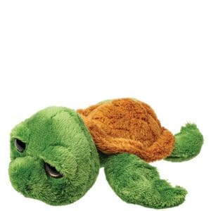 Medium Skipper Turtle