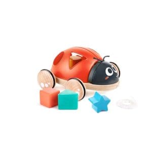 Shape-Sorter Ladybug