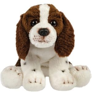 Springer spaniel