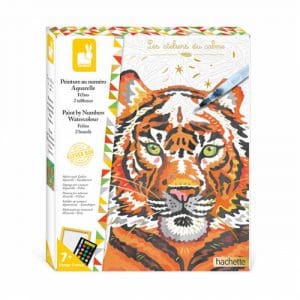 Painting By Numbers Watercolour Felines