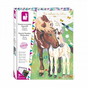 Painting By Numbers Watercolour Horses