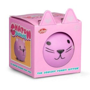 *B Grade* Squishkins Kitten