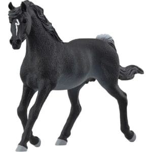 Arab Stallion