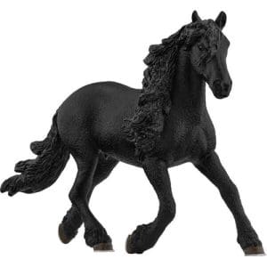 Friesian Stallion