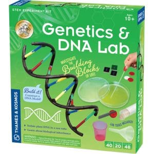 Genetics & DNA