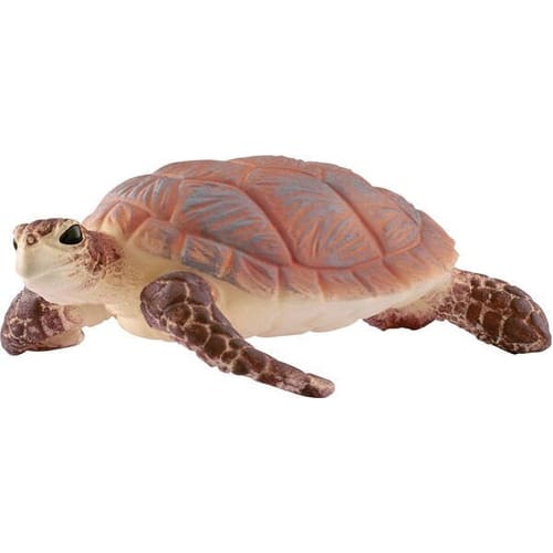 Hawskbill sea turtle