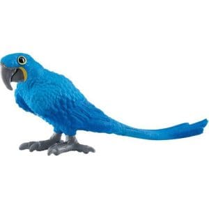 Hyazinth Macaw
