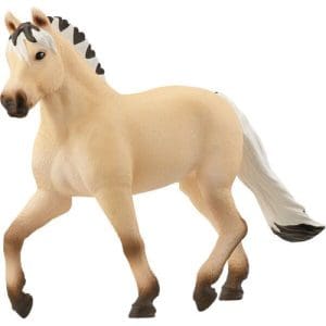 Norwegian Fjord Horse Mare