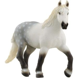 Percheron Mare