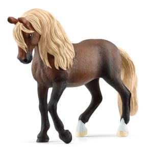Paso Peruano Stallion