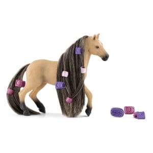 Beauty Horse Andalusian Mare