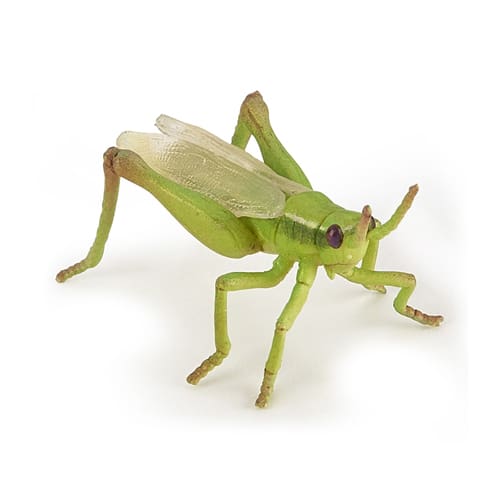 Papo: Grasshopper
