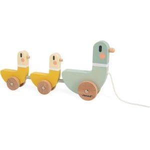 SWC - Pull - Along Ducks