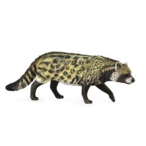African Civet
