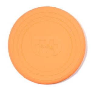 Apricot Orange Foldable Flyer