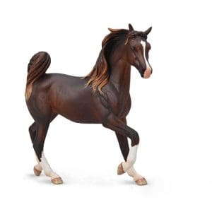 Arabian Mare Liver Chestnut