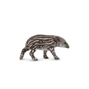 Baird's Tapir Calf