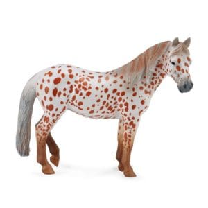 British Spotted Pony Mare Chestnut Leopard
