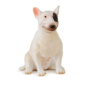 Bull Terrier - Female