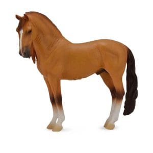 Campolina Stallion - Red Dun