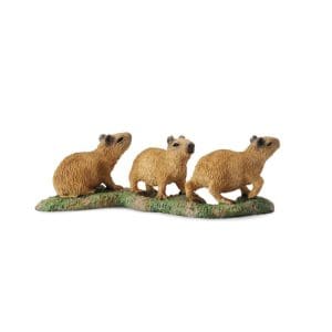Capybara Babies