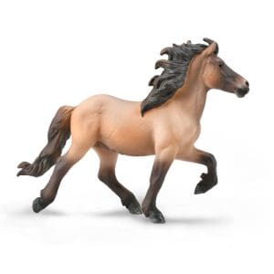 Celandic Stallion - Bay Dun