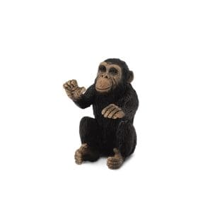 Chimpanzee Cub - Hugging