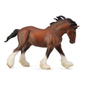 Clydesdale Stallion - Bay