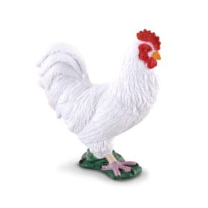 Cockerel White