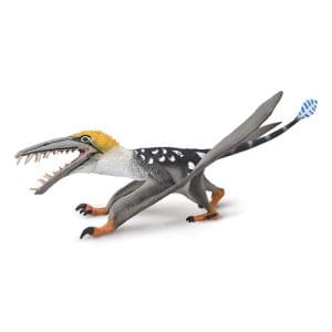 Dearc sgiathanach with moveable Jaw 1:3 Scale