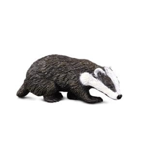 Eurasian Badger