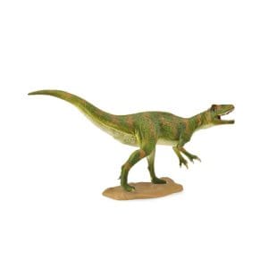 Fukuiraptor