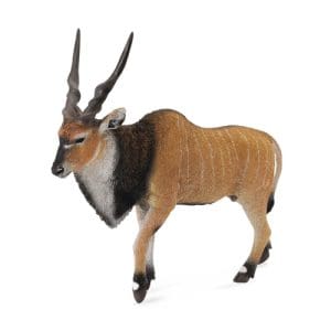 Giant Eland Antelope