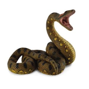 Green Anaconda