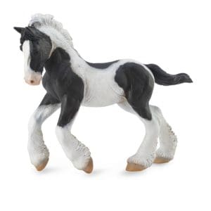 Gypsy Foal Black & White Piebald