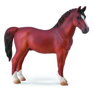 Hackney Stallion Chestnut