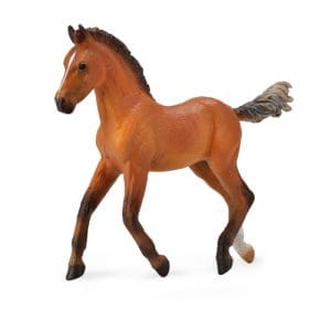 Hanoverian Foal - Bay