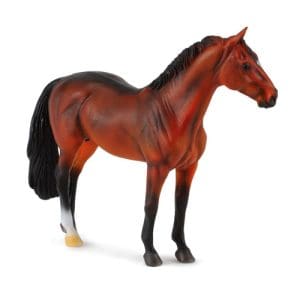 Hanoverian Stallion Bay
