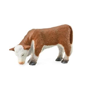 Hereford Calf - Grazing
