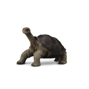 Island Tortoise (Lonesome George)