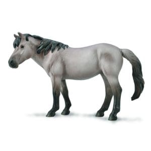 Konik Mare - Blue Dun
