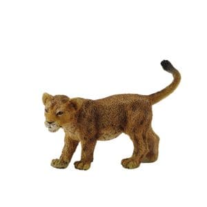 Lion Cub (Walking)